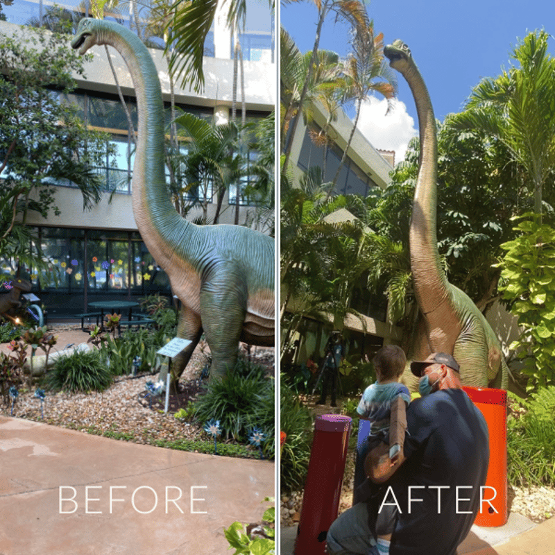 Palm Beach Children’s Hospital, DinoSOAR garden preview 3